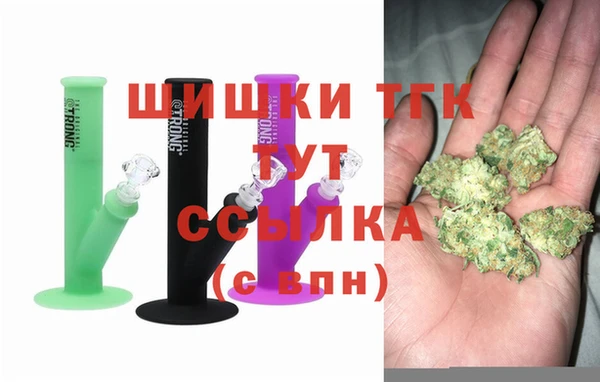 ГАЛЛЮЦИНОГЕННЫЕ ГРИБЫ Карабаново