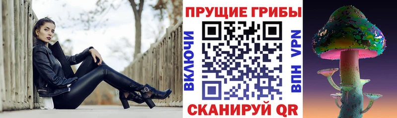 блэк спрут ТОР  Горбатов  Псилоцибиновые грибы Cubensis 